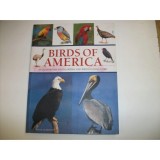 Cumpara ieftin Birds of America