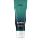 Scottish Fine Soaps Sea Kelp crema de maini 75 ml