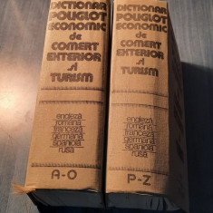 Dictionar poliglot economic de comert exterior si turism 2 volume