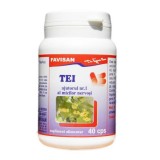 TEI 40cps FAVISAN
