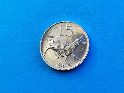 5 Lire 1981 San Marino-UNC-RAR foto