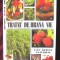 &quot;TRATAT DE HRANA VIE. 2167 retete naturiste&quot;, Elena Nita Ibrian, 2000. 2167 retete pentru o viata fara suferinte