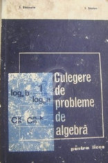 Culegere de probleme de algebra pentru licee (E.D.P.) foto