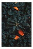 Tablou Canvas, "Frumusețea ascunsă a naturii &icirc;ntunecate", Frunze, &Icirc;ntunecate, Lucioase, Portocaliu, Ascuns, Contrast, Textură, Vibrant, Natură, 26 x 3