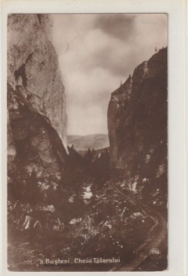 Busteni - Muntii Bucegi , Cheia Tatarul foto