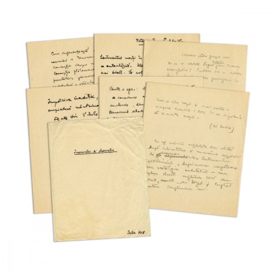 Mircea Eliade, &amp;Icirc;nsemnări și observații, iulie 1928, șase file manuscris - D foto