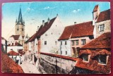 Sibiu - Partie am Hundsrucken - printata, color, circulata la Sebesu Sasesc, editata in 1918, ulterior tiparit CARTA POSTALA si Sibiiu, Necirculata, Fotografie