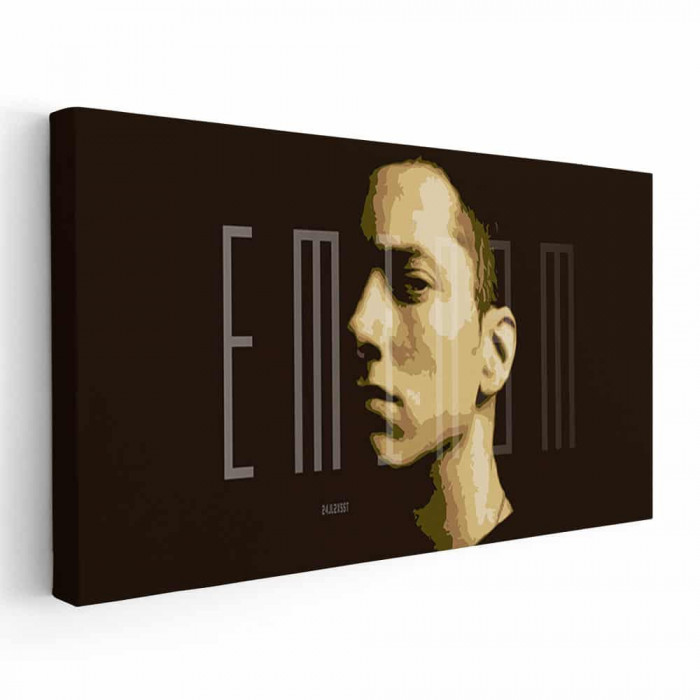 Tablou afis Eminem cantaret rap 2392 Tablou canvas pe panza CU RAMA 40x80 cm
