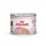 Royal Canin Mother &amp; Babycat Mousse, 195g - Hrana umeda pisici (mama si pui) - Digestie usoara, suport imunitar