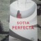 n1 Sotia perfecta - J.P. Delaney