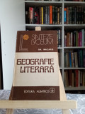 Geografie literară - GH Macarie