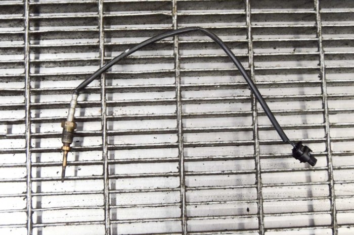 Senzor de temperatură BMW X5 F15, F85 2014 OEM: 7543312,265600-1902,7805606 12085850