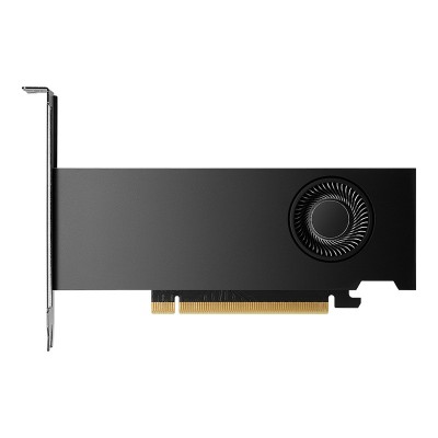 PNY NVIDIA RTX 2000 Ada Generation foto