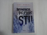 INTUNERICUL PE CARE IL STII - AMY ENGEL