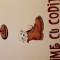 Rime cu codita xerox color