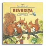 Animale salbatice in natura: Veverita