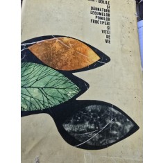 Bolile si dăunătorii legumelor, pomilor fructiferi si vitei de vie-V B&icirc;rliga