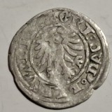 Polonia Lituania 1/2 Groschen (1509-18) Sigismund l cel Bătr&acirc;n, Europa