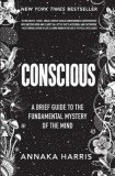 Lights on: Exploring the Mystery of Consciousness