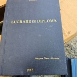 Lucrare de diploma. Rezultatul administrarii Ca-EDTA-Na in tratamentul curativ al saturnismului industrial - Coordonator Rafaila Emilia