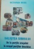Salistea Sibiului - Octavian Rusu, 2003