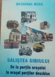 Salistea Sibiului - Octavian Rusu, 2003