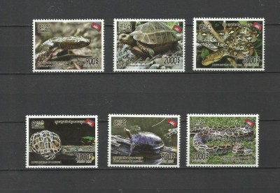 CAMBODGIA 2020 FAUNA REPTILE foto