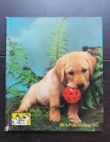 Junghunde * Chiots * Cuccioli (Pui de căței, carte trilingvă: germană, franceză, italiană)