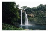 Tablou Canvas, "Cascada printre arborii &icirc;nalți ai pădurii", Cascadă, Natură, Verdeață, St&acirc;nci, Apă, Liniște, Pădure, Cădere, Spectacol, Răcoros, 39 x