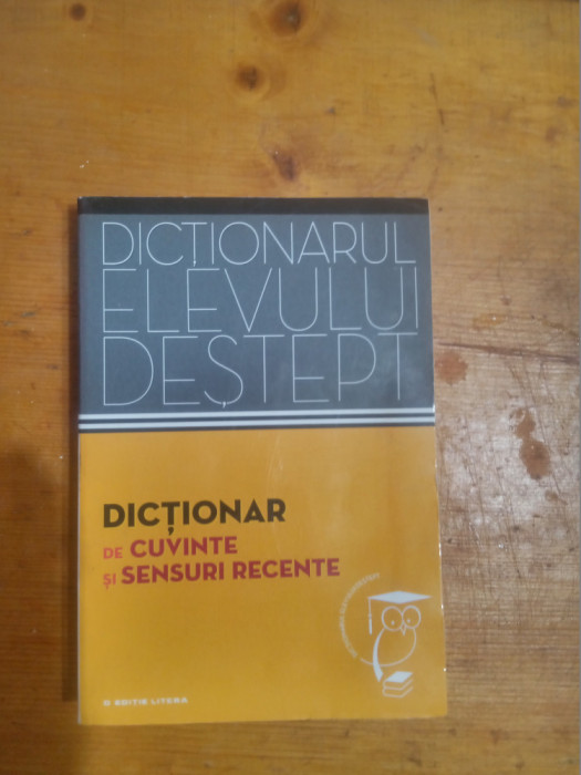 Dictionar de cuvinte si sensuri recente-Andrei Danila,Elena Tamba