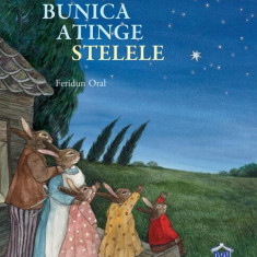 Bunica atinge stelele - Hardcover - Brigitte Weninger, Feridun Oral - Didactica Publishing House