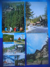 HOPCT LOT 2181 PALTINIS . -JUD SIBIU -4 CARTI POSTALE-CIRCULATE