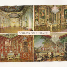 FA50-Carte Postala- AUSTRIA - Viena, Schloss Schonbrunn, necirculata
