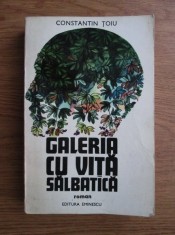 Constantin Toiu - Galeria cu vita salbatica