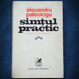 SIMTUL PRACTIC - ALEXANDRU PALEOLOGU - VOL. II