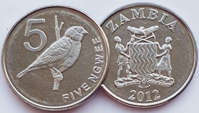 1674 Zambia 5 Ngwee 2012 Zambezi Indigobird km 205 UNC foto