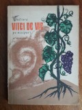 Cultura vitei de vie pe nisipuri + Infiintarea plantatiilor de vii / R7P2S, Alta editura