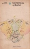 Dumineca orbului