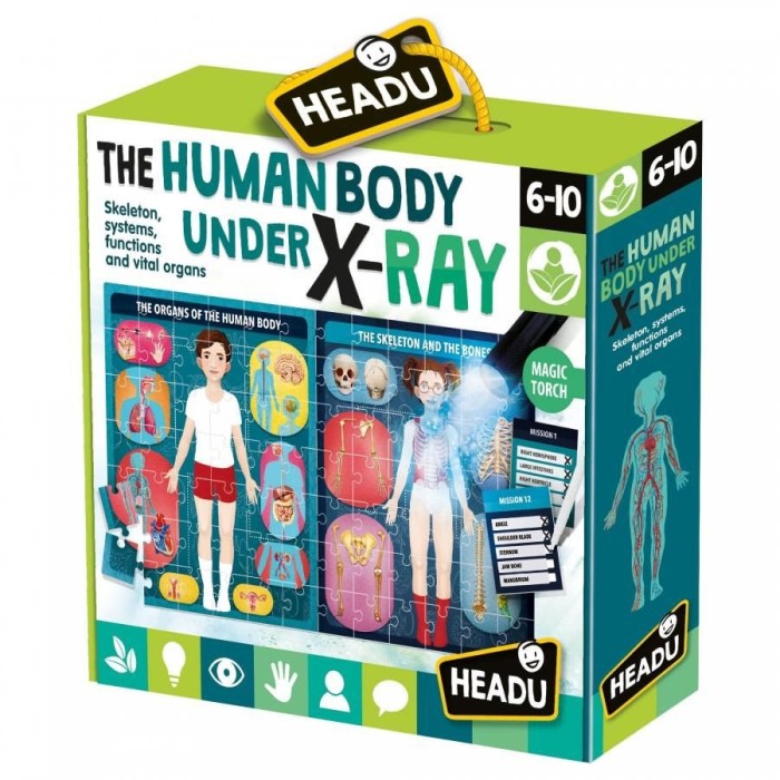 Headu Stem - Puzzle Radiografia Corpului Uman
