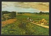 CPIB 22364 - CARTE POSTALA - MUZEU ARTA RSR, IOAN ANDREESCU - DRUMUL MARE, Necirculata, Fotografie
