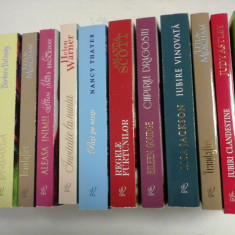 12 romane de: JOANNA TROLLOPE; JUDY ASTLEY; LEILA MEACHAM; LISA JACKSON; EILEEN GOUDGE; AMANDA SCOTT; NANCY THAYER; HELEN WARNER;