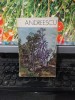 Andreescu, album, text Iulian Mereuță, editura Meridiane, București 1972, 118