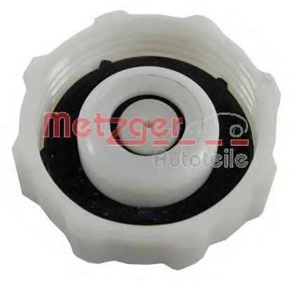 Buson vas expansiune antigel OPEL MOVANO caroserie (F9) (1999 - 2010) METZGER 2140105