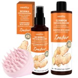 Cumpara ieftin Pachet produse tricologice pt par cu extract de ghimbir, lotiune, sampon si instrument de masaj