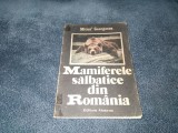MITICA GEORGESCU - MAMIFERELE SALBATICE DIN ROMANIA