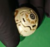 Bakugan Haos Lars Lion, legendarul razboinic din Vestoria