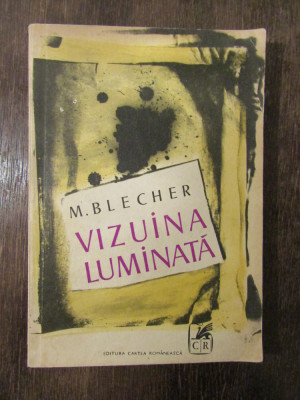 Vizuina luminată - M. Blecher foto