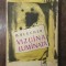 Vizuina luminată - M. Blecher