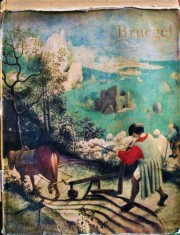 BRUEGEL - ALBUM foto