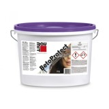 Protectie anticoroziva Baumit BetoProtect 2KG